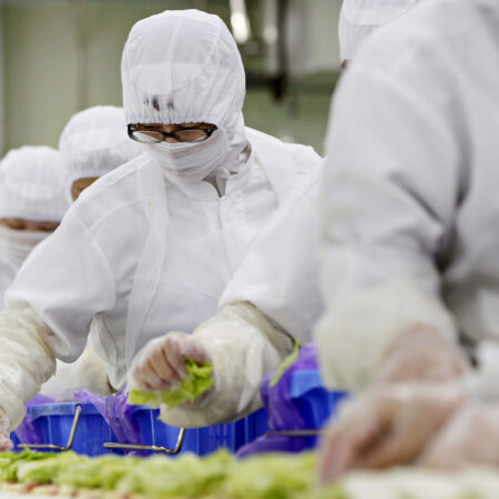 An employee places lettuce leaves on top of ham and cheese to make sandwiches on the production line at Prime Delica Co.'s factory for Seven & I Holdings Co.'s 7-Eleven food products in Ryugasaki, Ibaraki Prefecture, Japan, on Wednesday, Aug. 14, 2013.  Photographer: Kiyoshi Ota/Bloomberg
